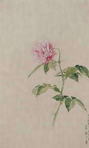 薔薇（写生課題花一枝）