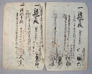 柴田郡小野村鉄炮御本帳（川崎佐藤家文書）