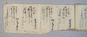 地券御竿改帳（川崎佐藤家文書）