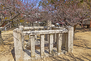 屯倉神社 神形石