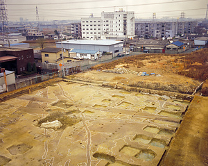 南新町遺跡C6-3-10 調査区全景