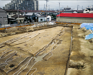 東新町遺跡C5-2-23 調査区南部全景