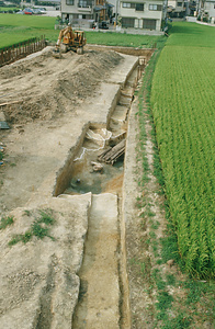 新堂遺跡E6-3-4 東側トレンチ全景