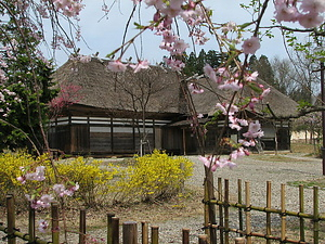 秋田県立農業科学館曲屋（旧伊藤家住宅）