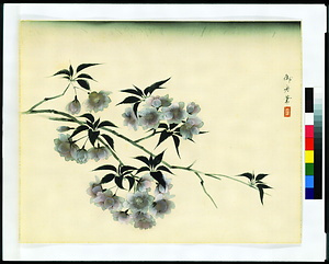 夜桜（還暦祝画帖）