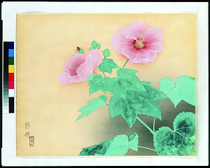 芙蓉（還暦祝画帖）