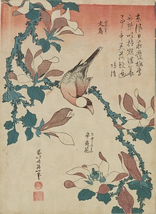 文鳥  辛夷花