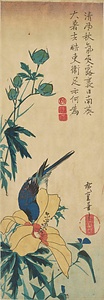 黄蜀葵に瑠璃鳥