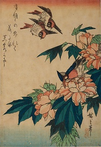 芙蓉に小禽