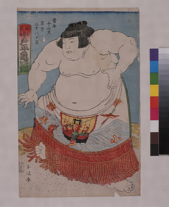 東京小戸平亀四郎力士（玉波画）