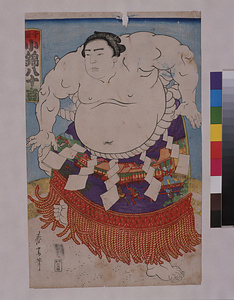 小錦八十吉力士（春斎画）