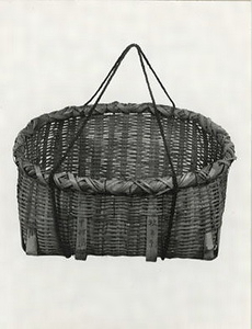 ボーラ