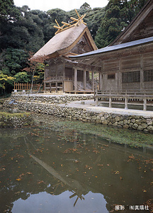 玉若酢命神社　本殿　随神門　拝殿