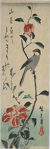 山茶花に文鳥