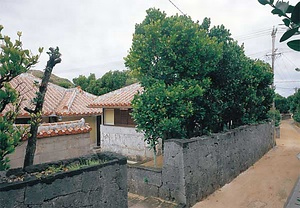 渡名喜村渡名喜島（島の農村集落　沖縄）