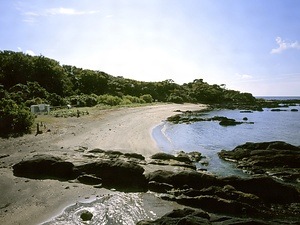 天神島、笠島及び周辺水域