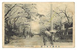 絵葉書「高岡桜馬場公園」