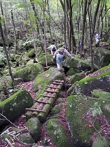 横根山の岩海