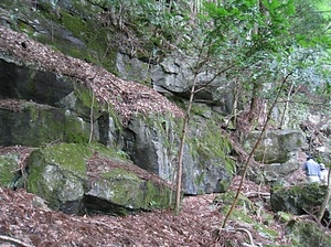 中野のろう石（大理石）　一区域