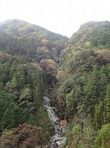 鳴滝　一区域