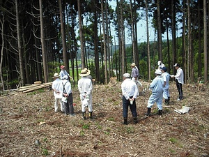 徳田燈明山古墳