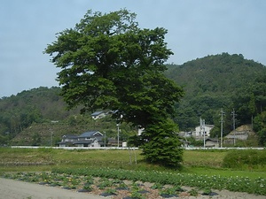 荒神グロ(平の日時計)