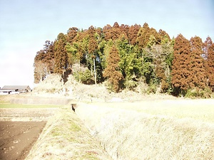 石山城跡