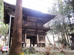 龍穏寺の着生植物群