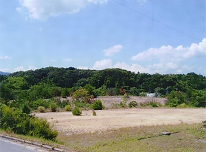 波来浜遺跡