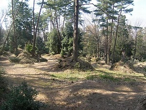 加賀八家墓所　附 参道及び墓道 開禅寺長家墓石３基 玉龍寺前田対馬守家墓石12基<br />
