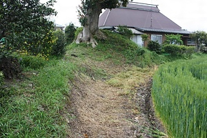 相原廃寺　付塔心礎