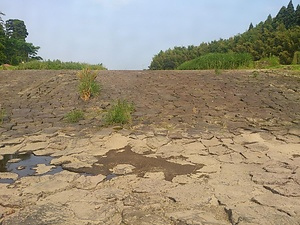 巻かやし井堰