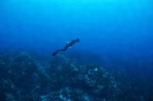 輪島の海女による伝統的素潜り漁技術<BR/>