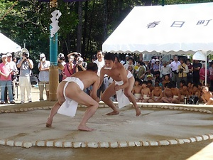 大原野神社の神相撲