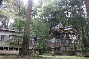 醫王山神社社叢