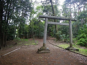 中川低地の河畔砂丘群　浜川戸砂丘