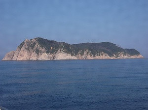 大立島の植物群落