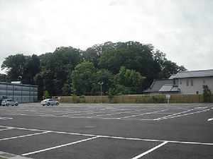 赤城神社の社叢林