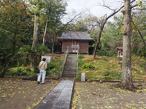 中川低地の河畔砂丘群　高野砂丘