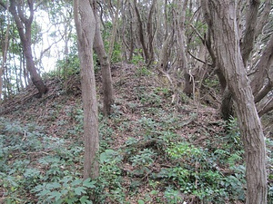 泊古墳　鳶ヶ巣１号墳　鳶ヶ巣２号墳