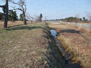 平舘陣屋跡（お仮屋）