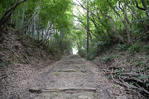 近畿日本鉄道旧東信貴鋼索線軌道跡