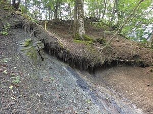 中央構造線程野露頭