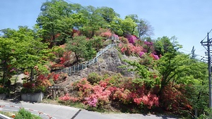 宮崎公園