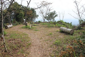 馬ヶ岳城跡