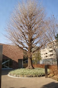 徳川慶喜終焉の地