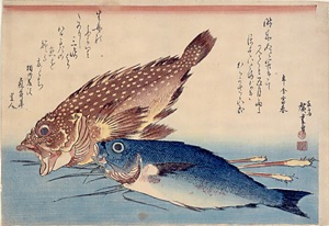 魚づくし　かさご、いさきに薑