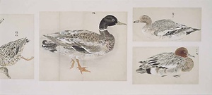 鳥獣写生図