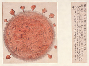 天球全図 太陽真形図・同解説