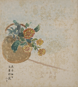 色紙　小菊